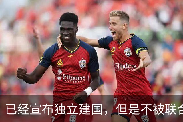 已经宣布独立建国，但是不被联合国承认的5个国家